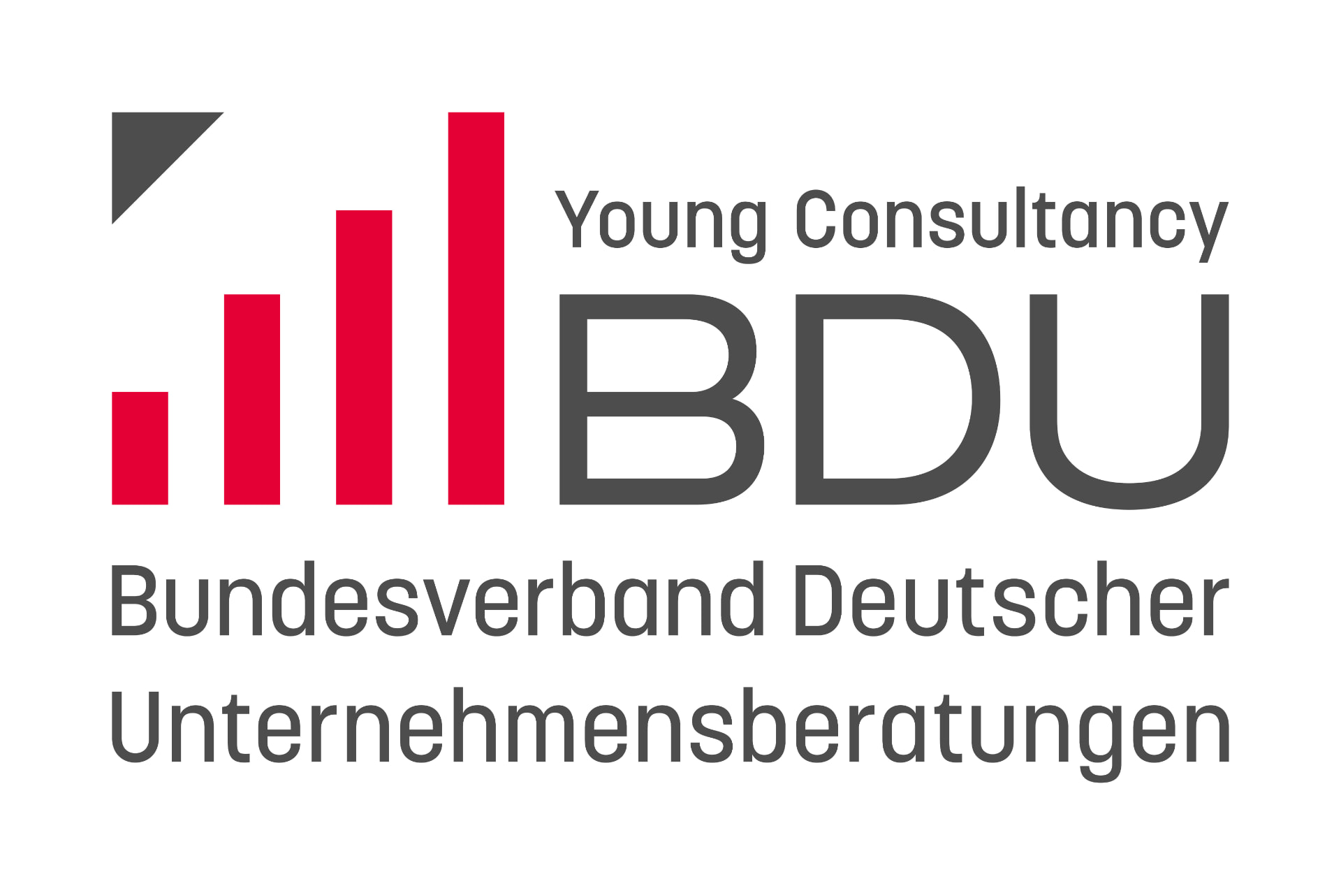 BDU Young Consultancy – Bundesverband Deutscher Unternehmensberatungen